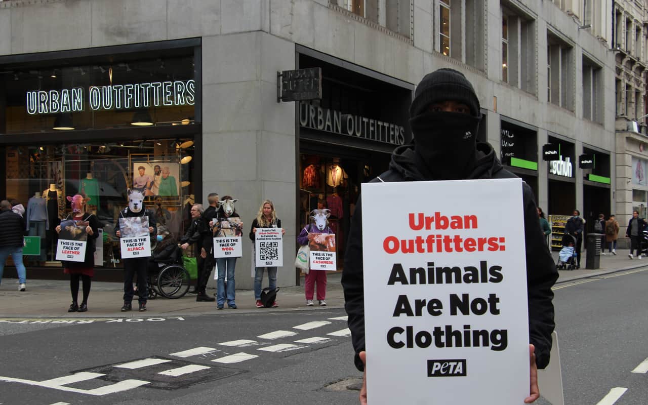 PETA protests against Urban Outfitters over animal abuse -  