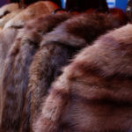 Luxury consumers see fur and exotic skins as 'less luxurious', report finds