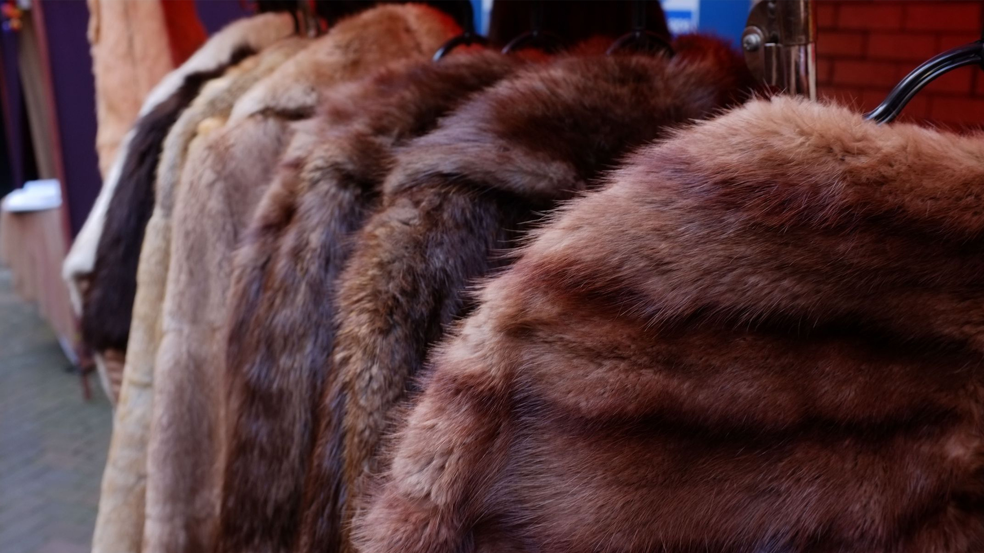 Copenhagen Fashion Week announces fur ban 