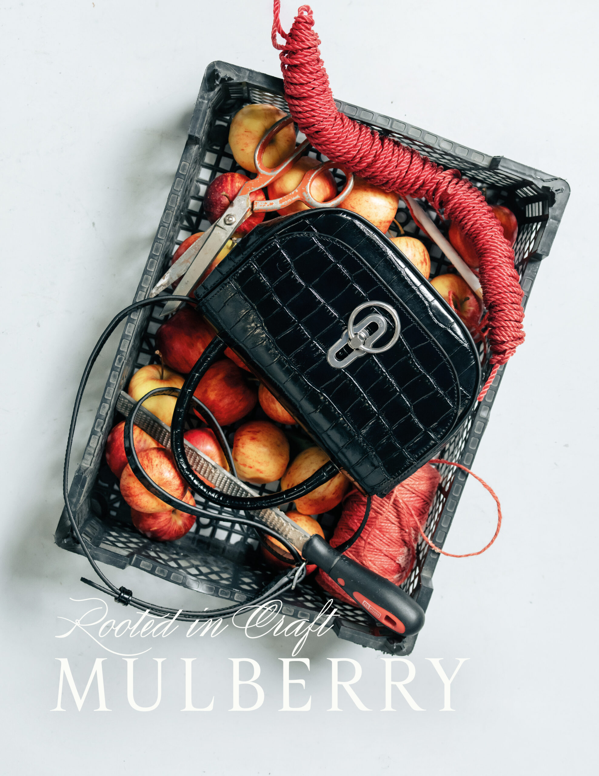 Mulberry