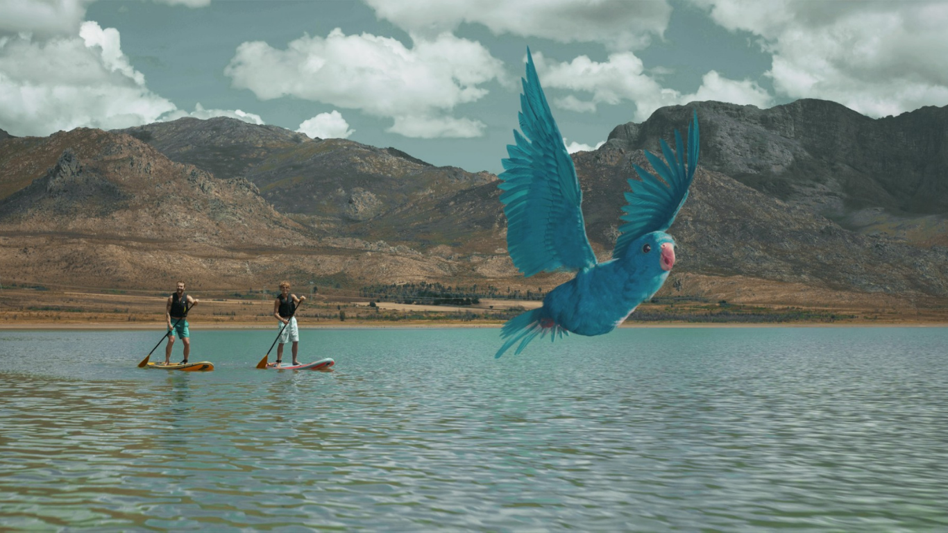 Go Outdoors launches latest TV campaign with return of Billy the bird